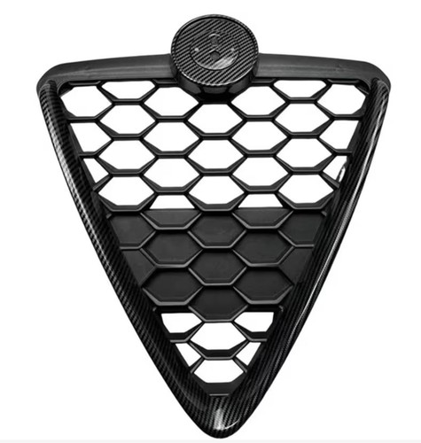 Scudo griglia anteriore - scudo,