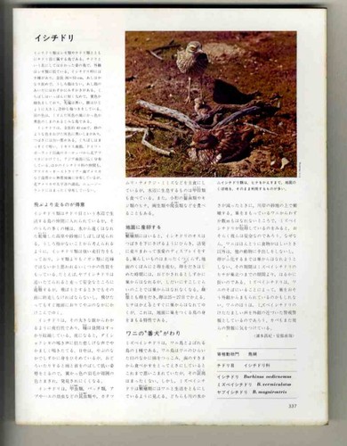 E28621972 the great - e28621972,