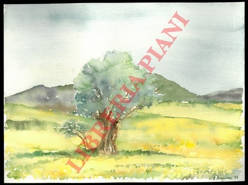 Acquerello buggiani albero - acquerello,
