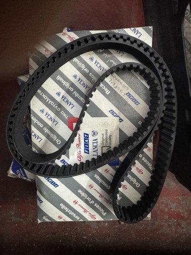 Cinghia distribuzione fiat - cinghia,