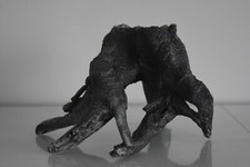 Splendido Acquario Medio