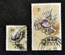 NIGERIA  - CONCHIGLIE MARINE -  LOTTO DI DUE FRANCOBOLLI  ANNULLATI