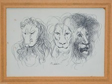 Nardoni sergio drawing design - sergio,