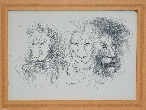 Nardoni sergio drawing design - nardoni,