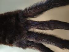 Sciarpa In Visone Vero