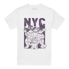 Teenage Mutant Ninja Turtles