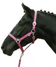Capezza per cavalli con
