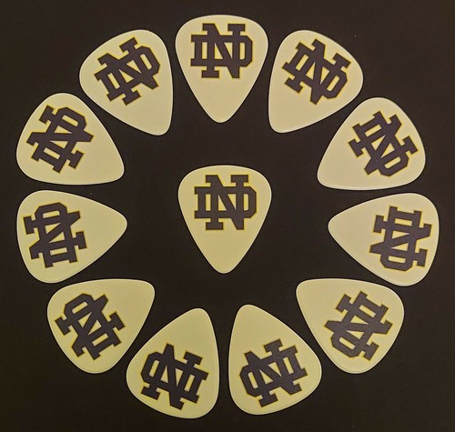 Notre dame fighting - dame,