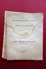 Memorie di Paleontologia Rhinoceros Etruscus Pliocene di Barga Modena 1918