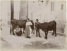 Foto Alinari Stampa Albumen