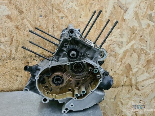 Blocco motore nudo ducati - motore,