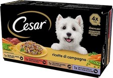 Cesar Cibo per Cani 24x150g