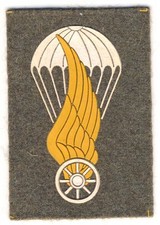 S017 - Brevetto Paracadutista