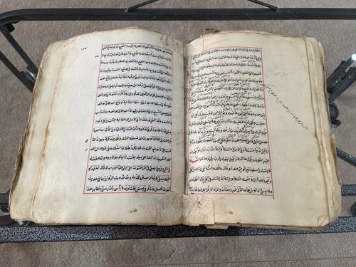 Raro libro legge - raro, di