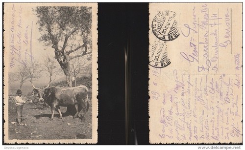 4170 bambino con grande mucca - 4170),