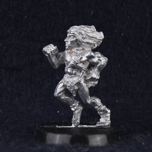 Elfo legno warhound master - elfo,
