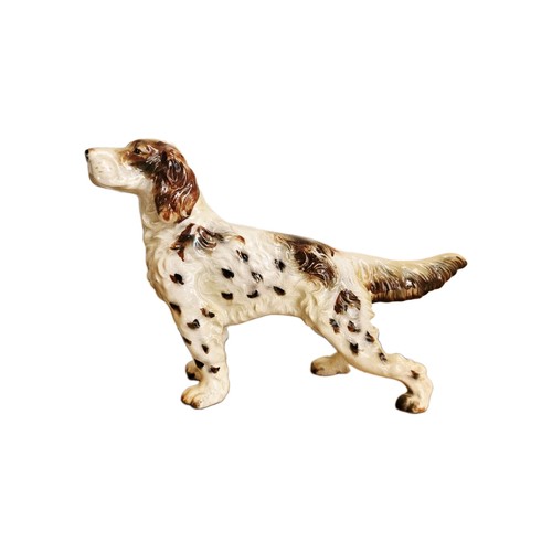 Setter irlandese porcellana