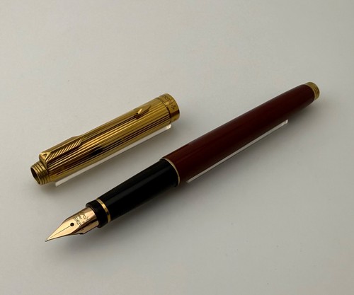 Penna stilografica parker - penna,