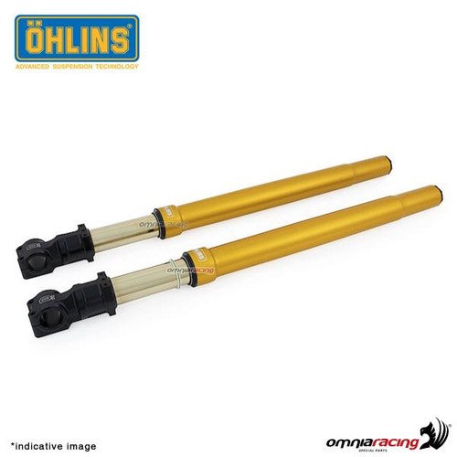 Ohlins forcella steli