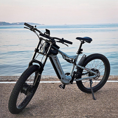 Bici elettrica lunga autonomia - elettrica,