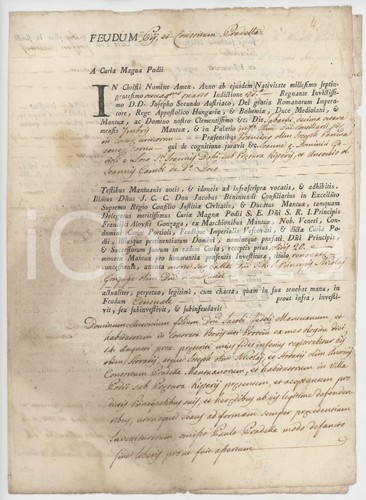 1784 poggio rusco investitura - rusco,