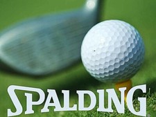 PALLINE DA GOLF Set 12 Vintage SPALDING PRO-FLITE Pro Only in USA Box Sleeve