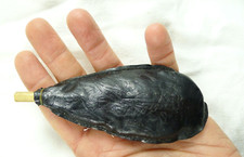 VECCHIO RICHIAMO DA CACCIA