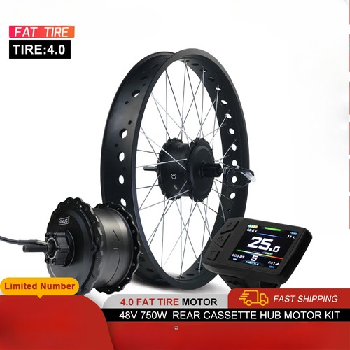 Bici elettrica neve 48v - bici,