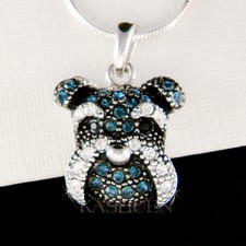 Schnauzer Terrier Cane IN