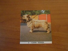 figurina I FEDELISSIMI n.3-CAIRN TERRIER-ed.il MONELLO 1971