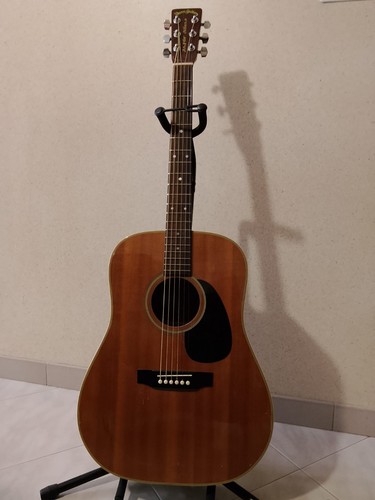 Chitarra acustica vintage - acustica,