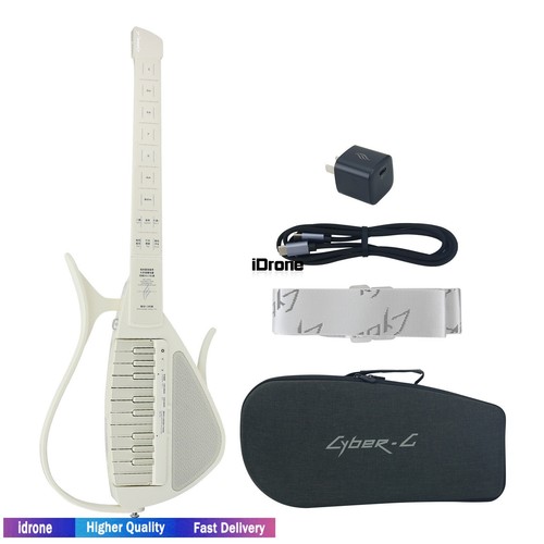 Chitarra elettrica - chitarra,