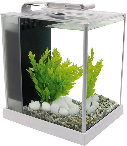 Askoll 280270 acquario spec - 280270,