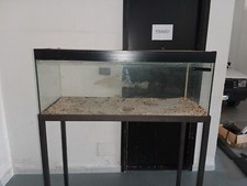 Acquario 150litri 100x40x40 Circa Usato