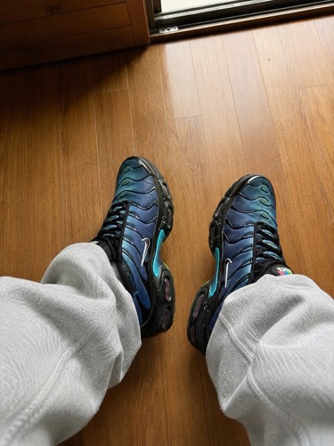 Nike air max plus - air, tn
