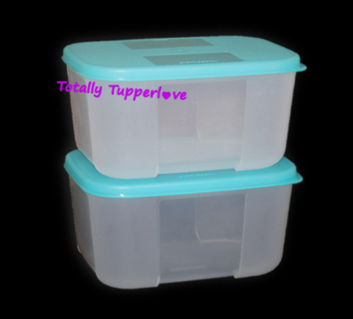 Tupperware contenitori freezer - tupperware,