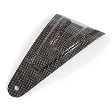 Akrapovic Exhaust Carbon