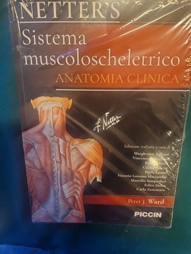 Netter sistema - netter's,