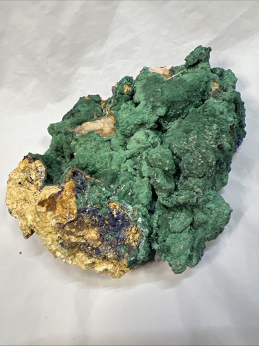 Malachite azzurra pesca - azzurra,