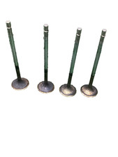 Valvole Scarico Bmw F 800 GS Anno 2008/2012