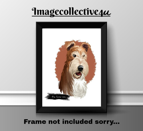 Fox terrier cane animale - fox,