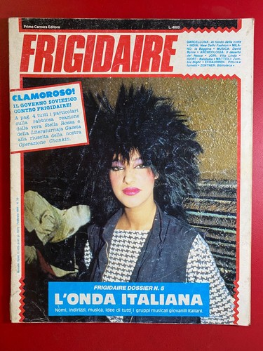Frigidaire primo carnera - 39,