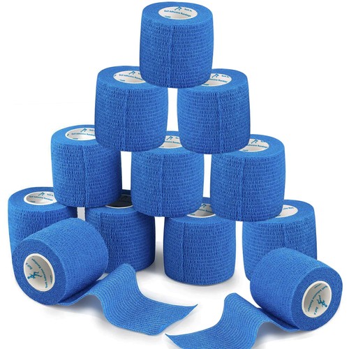 Anampion rotoli benda - anampion, 12
