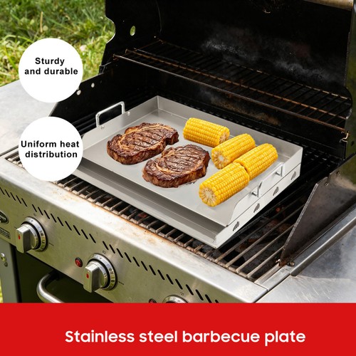 Piastra barbecue acciaio - piastra,