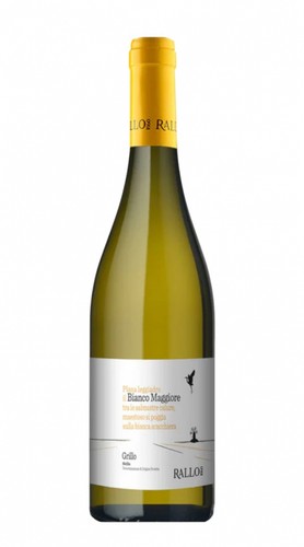 Rallo grillo bianco - rallo, maggiore