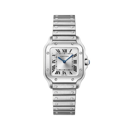 Cartier santos - cartier,