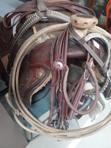 Billy cook roping - cook, saddle