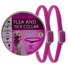 2Pz Collare Antipulci