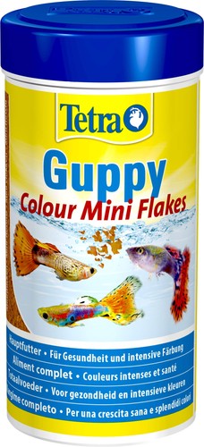 Tetra guppy colour mangime - tetra, in
