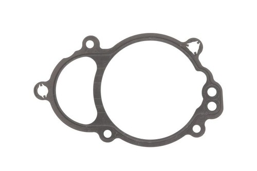 Guarnizione variatore fase - guarnizione,